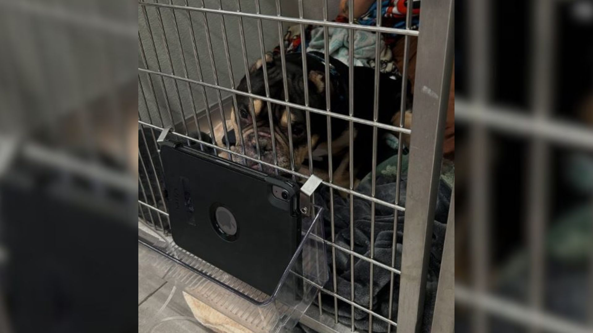 This was certainly true for Hamlet, a li...