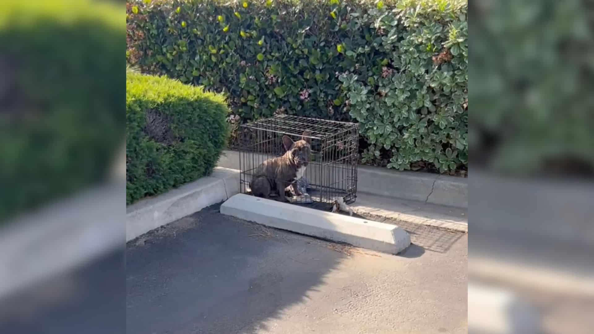 Fate intervened when Angela Adan, the fo...