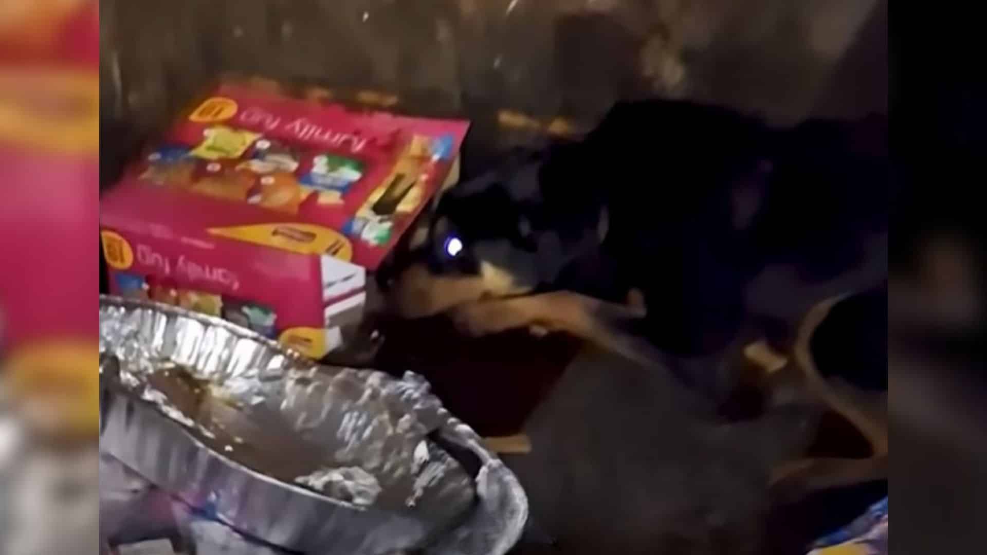 His luck changed when a caring passerby ...