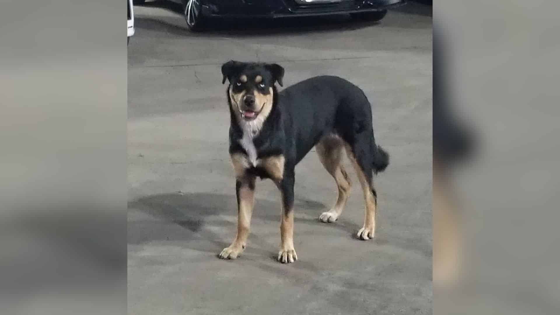 However, it's distressing to hear about ...