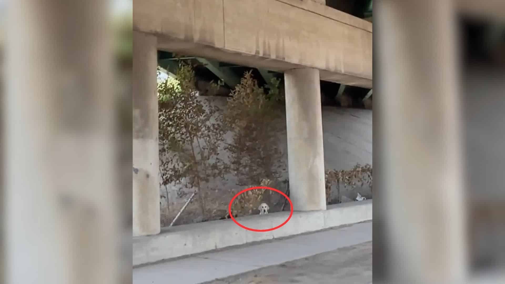 A heartwarming instance of this occurred...