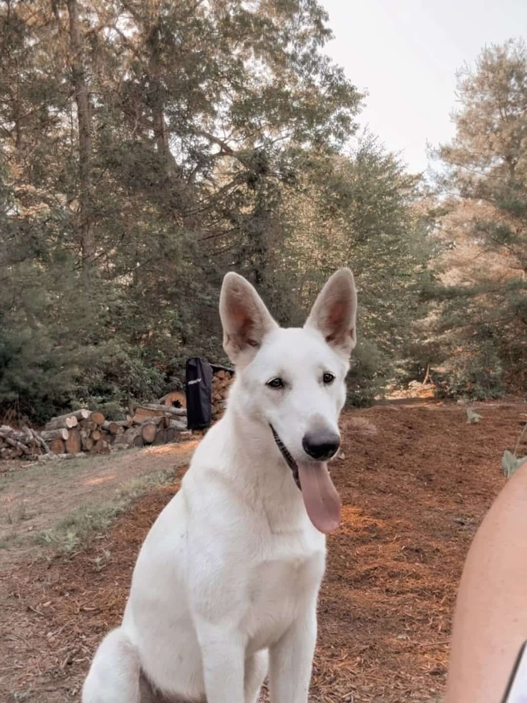 Extra image from article