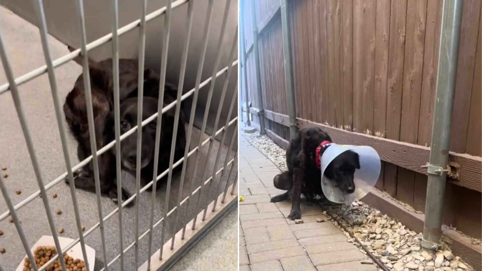 While some decide they can never endure ...