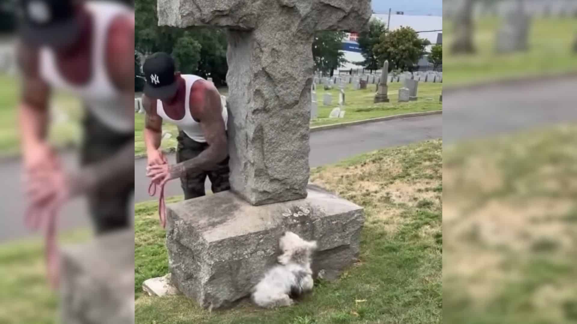 Once the dog warmed up to Michael's pers...