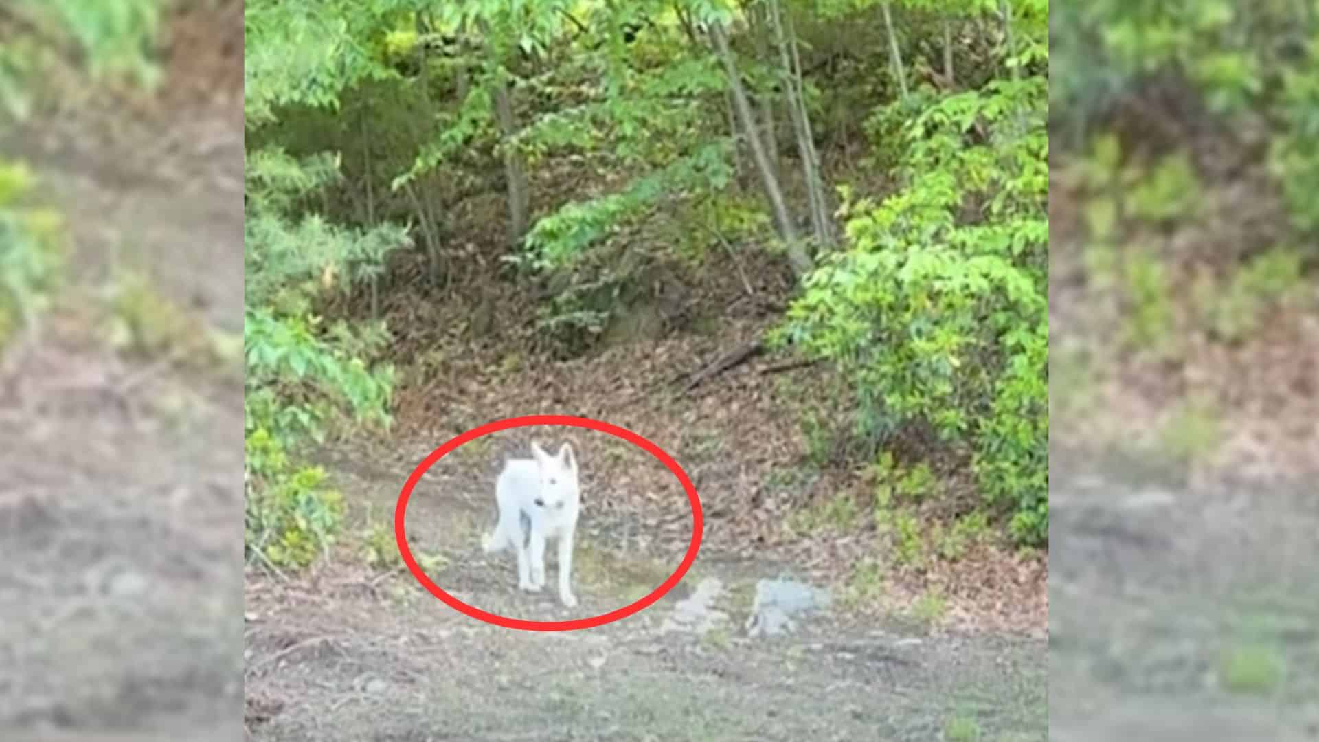 Over the next few days, Stephanie made s...