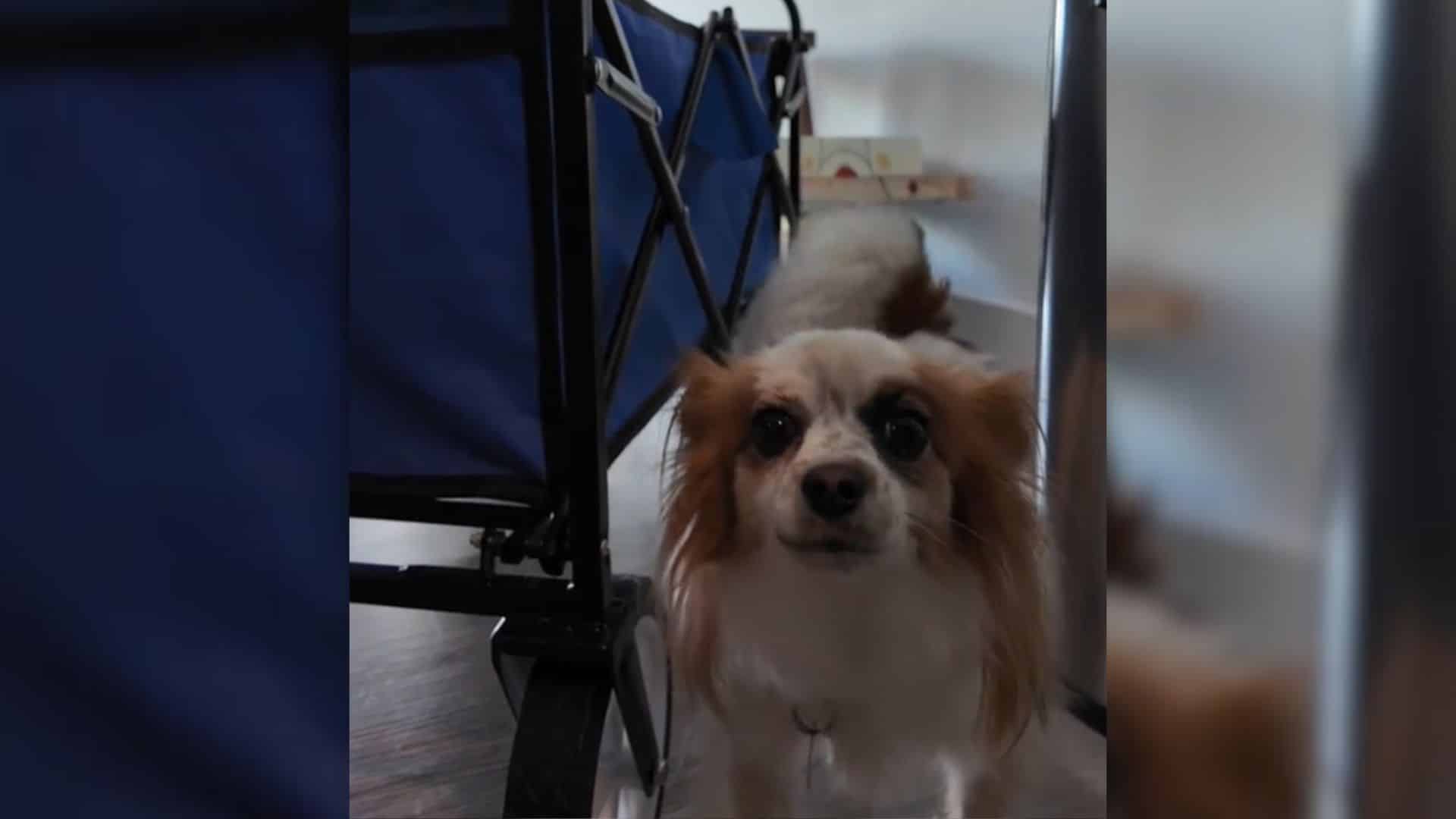 Upon reaching the apartment door, Salgue...