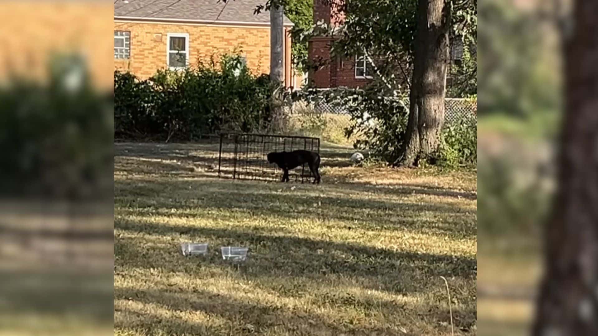 By offering assistance, you’re not just ...