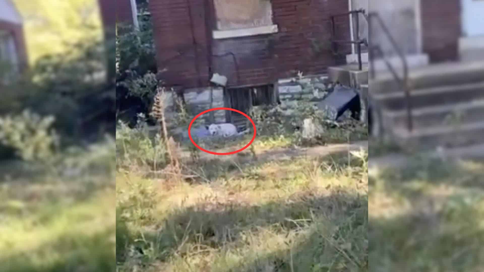 This unfortunate reality became evident ...