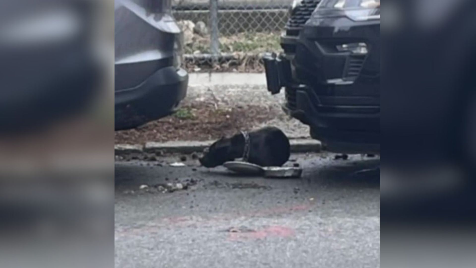 Moved by the situation, the concerned ma...