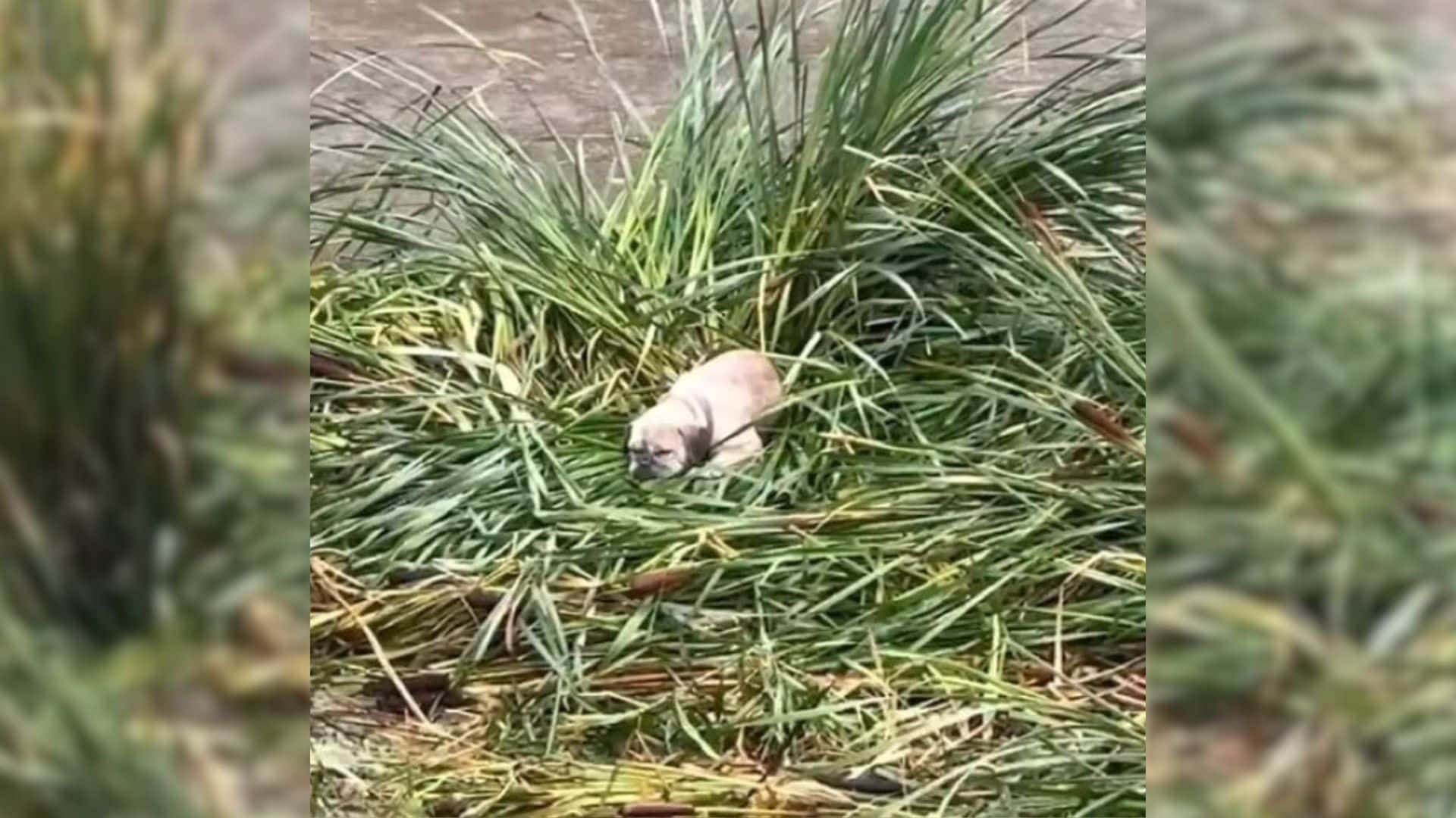 In the aftermath of the storm in Oxnard,...