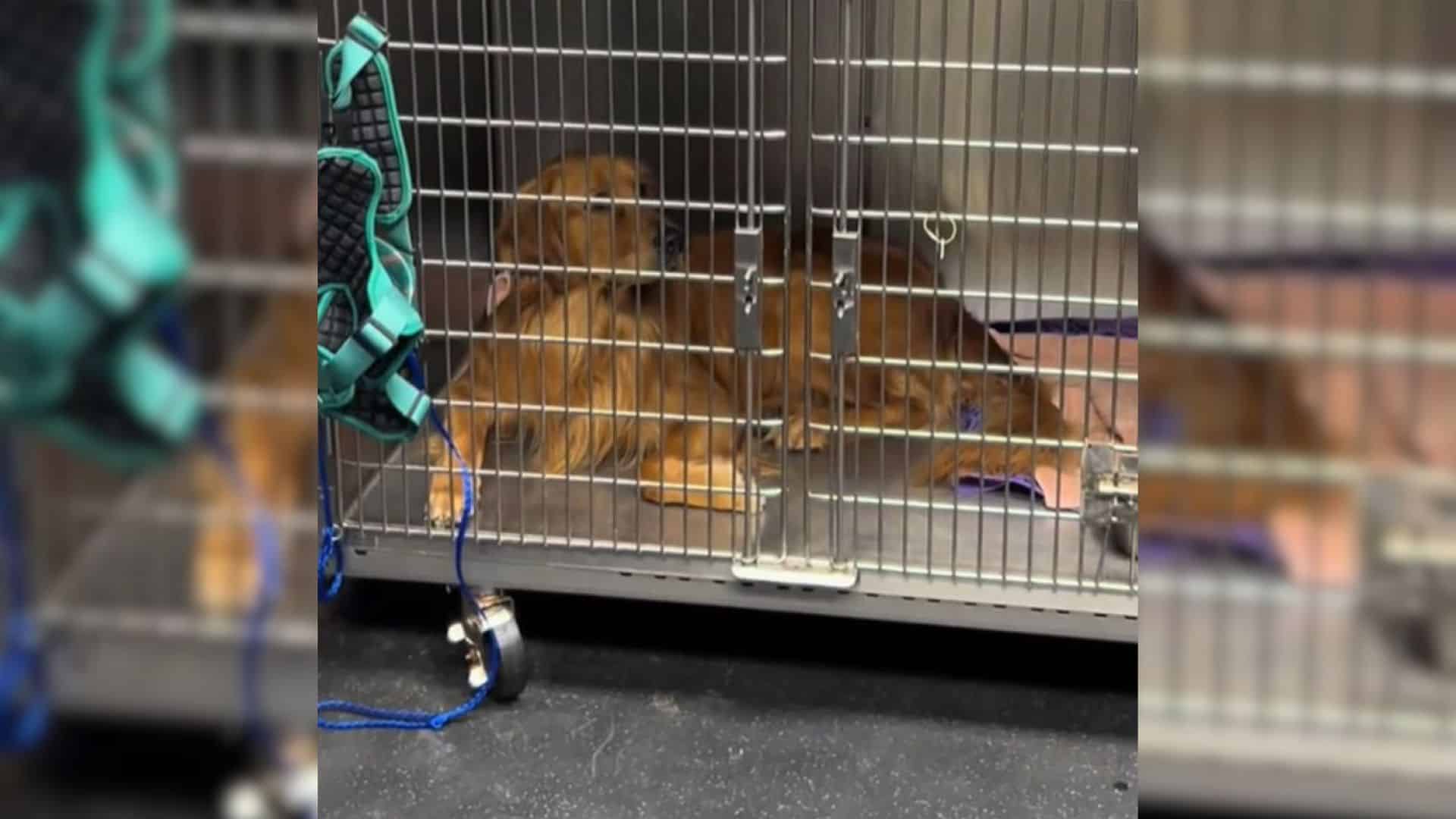 However, the day took a surprising turn ...