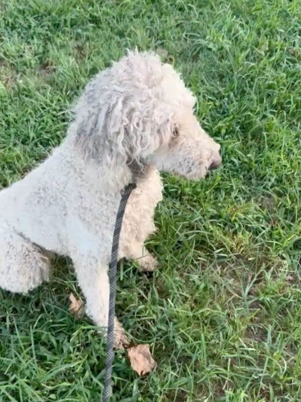 Extra image from article