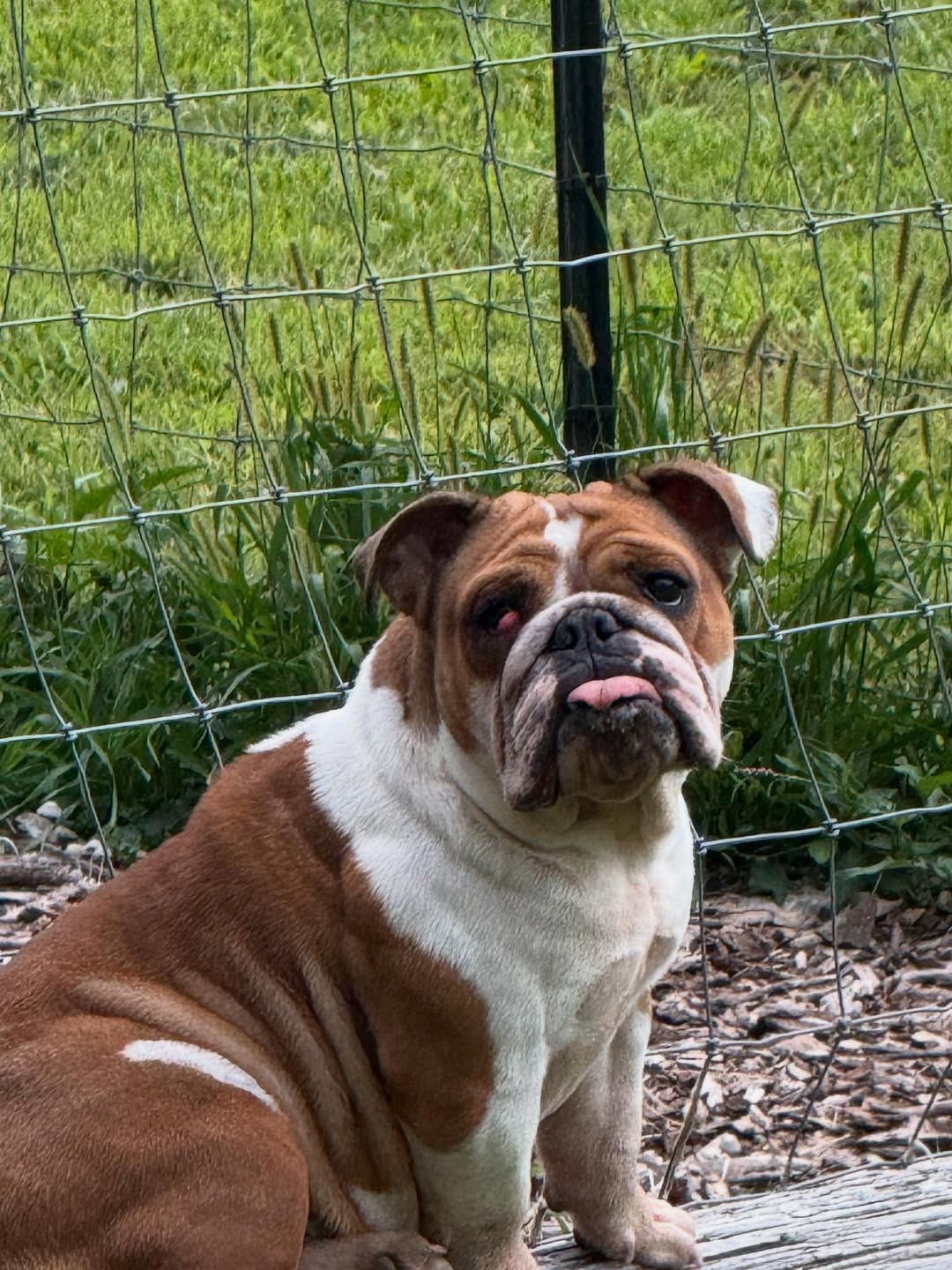 Extra image from article