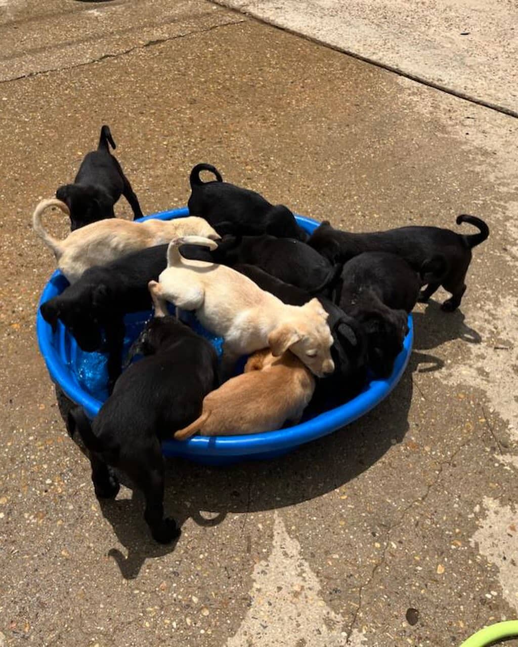 Extra image from article