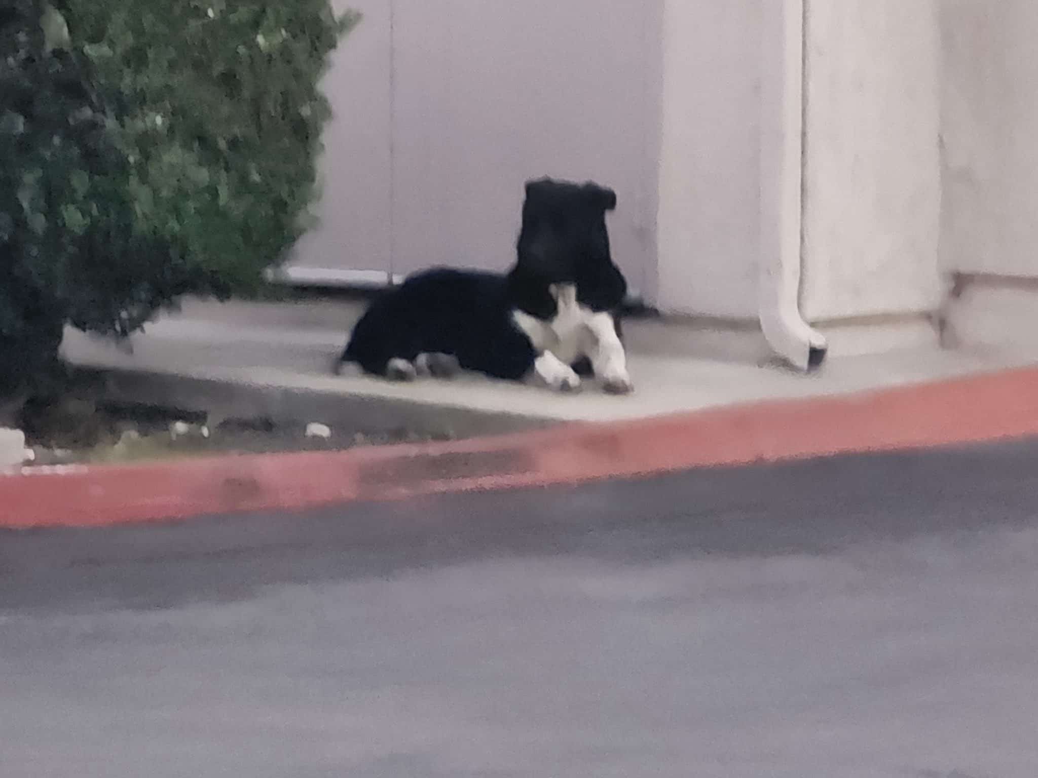 Extra image from article