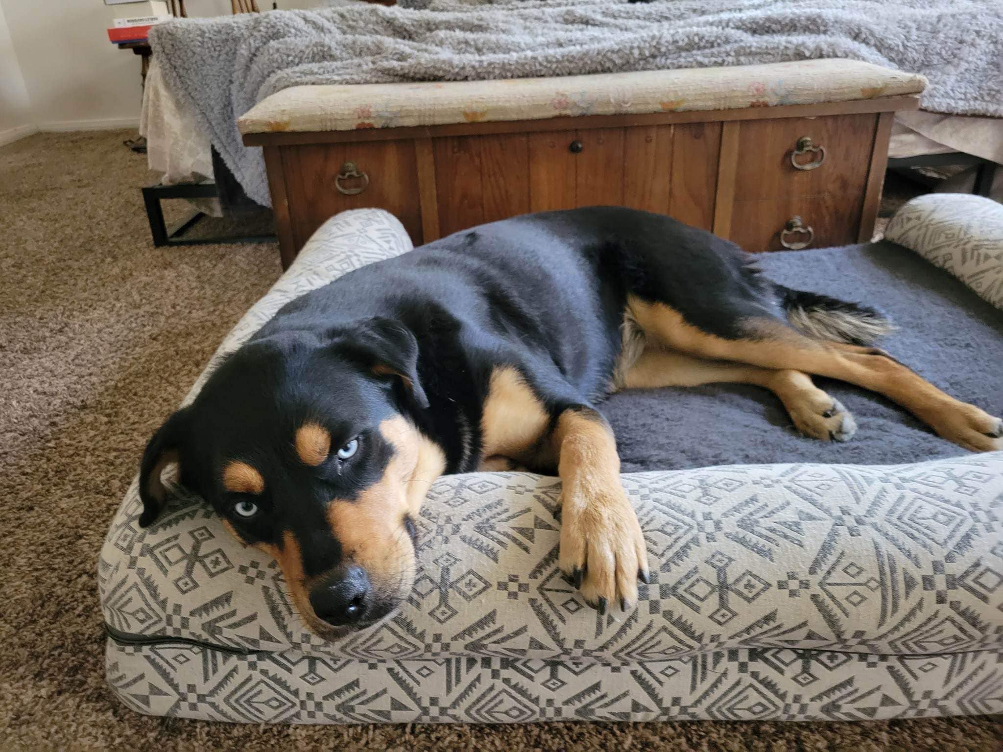 Extra image from article