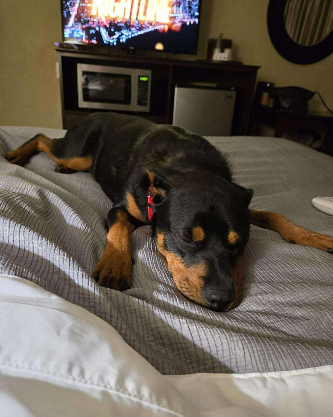 Extra image from article