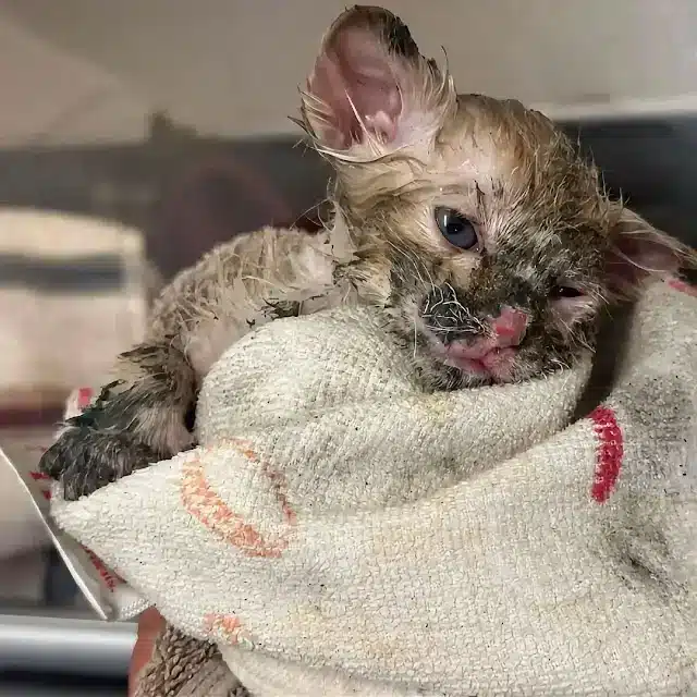 Firefighter Mark Lawson was among the fi...