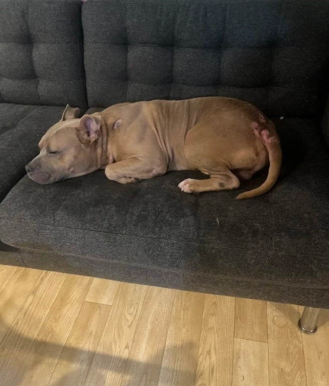 Extra image from article