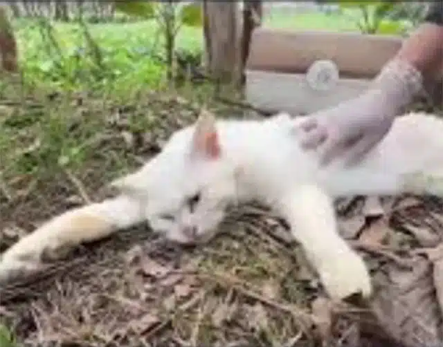 As people passed, unaware of the distres...