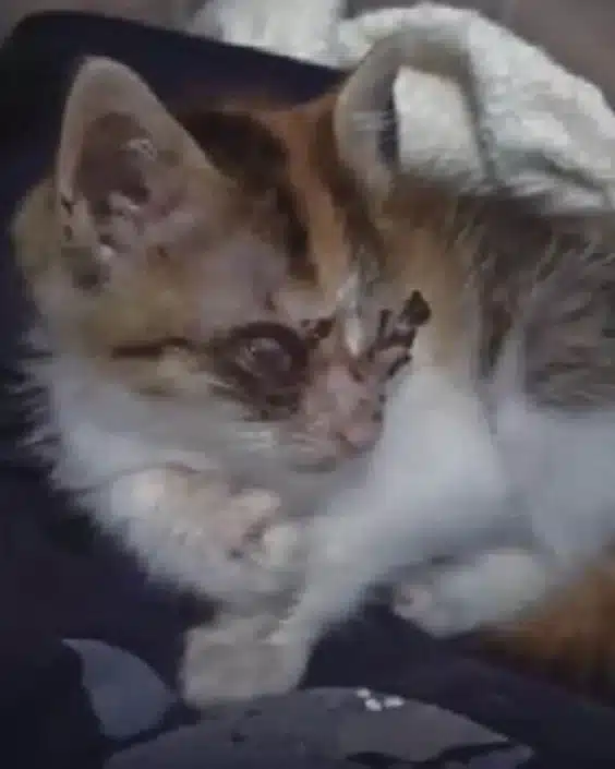 That night, she cared for him however sh...