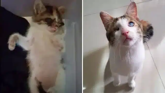 Back home, she named him Hunter, a name ...