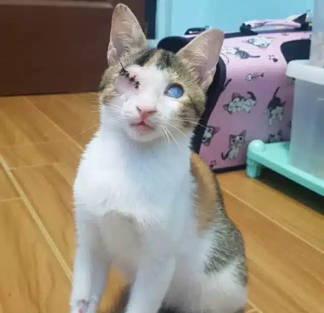 He was surrounded by darkness, unable to...