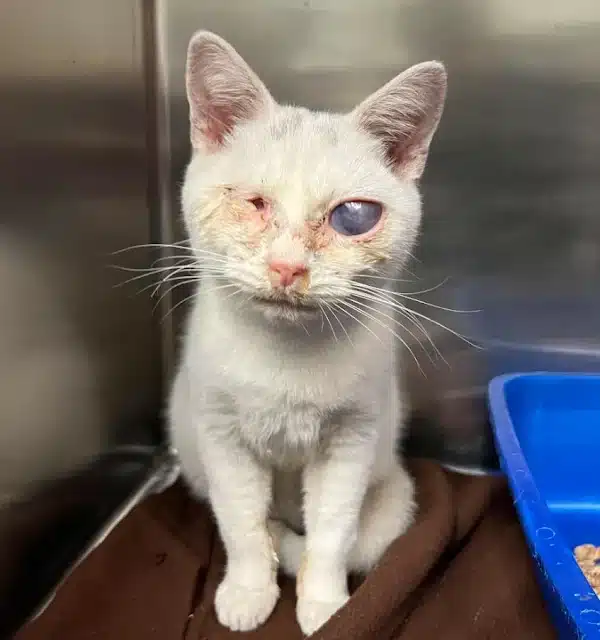 His tale is a gentle reminder to those w...