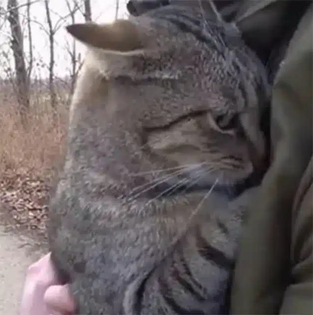 Despite everything, we never gave up the...