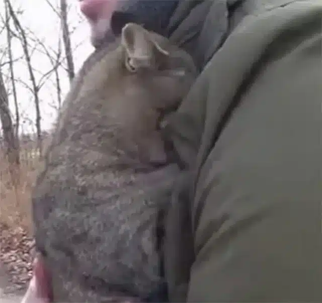 An ordinary afternoon turned extraordina...