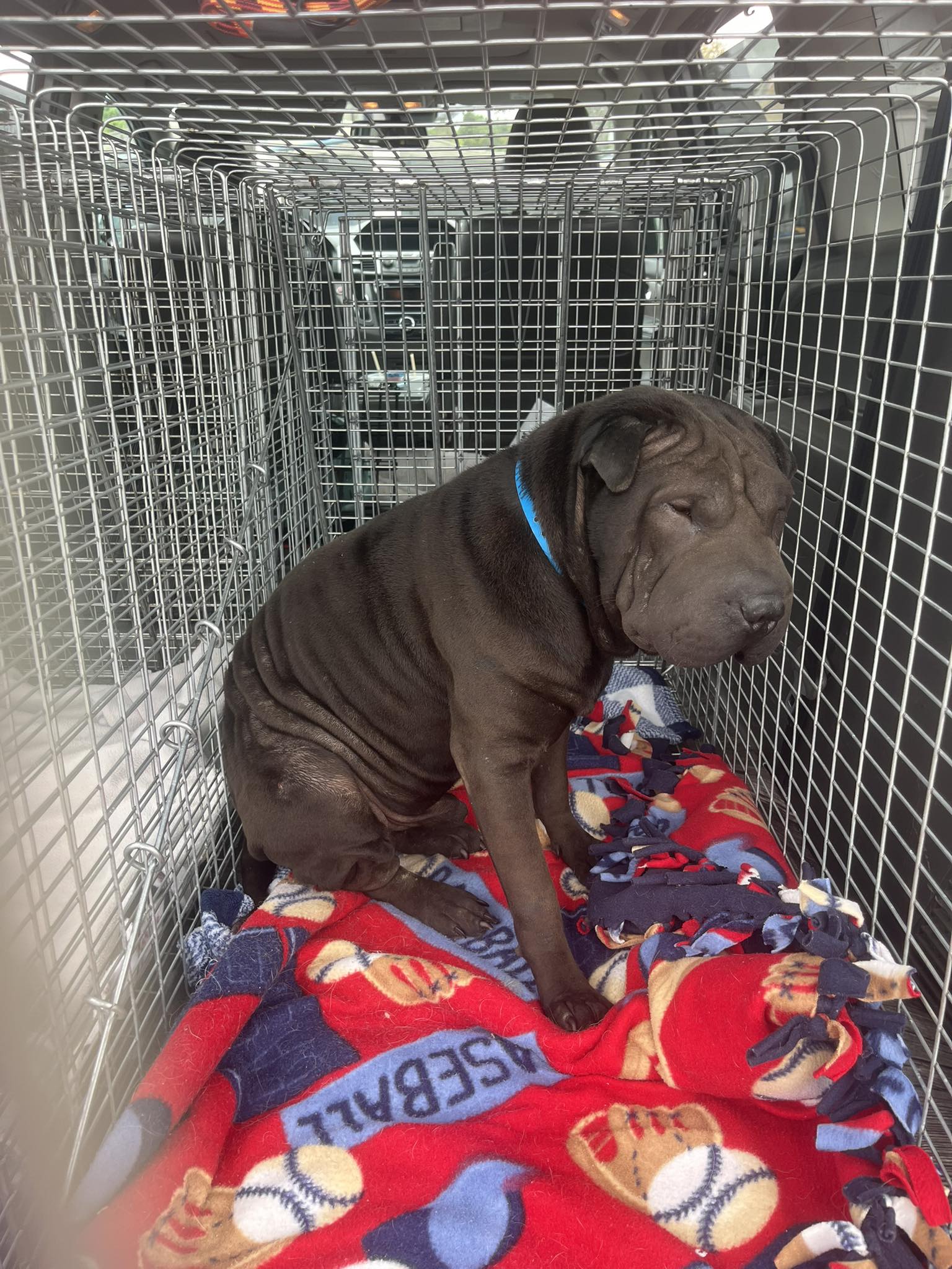 Extra image from article