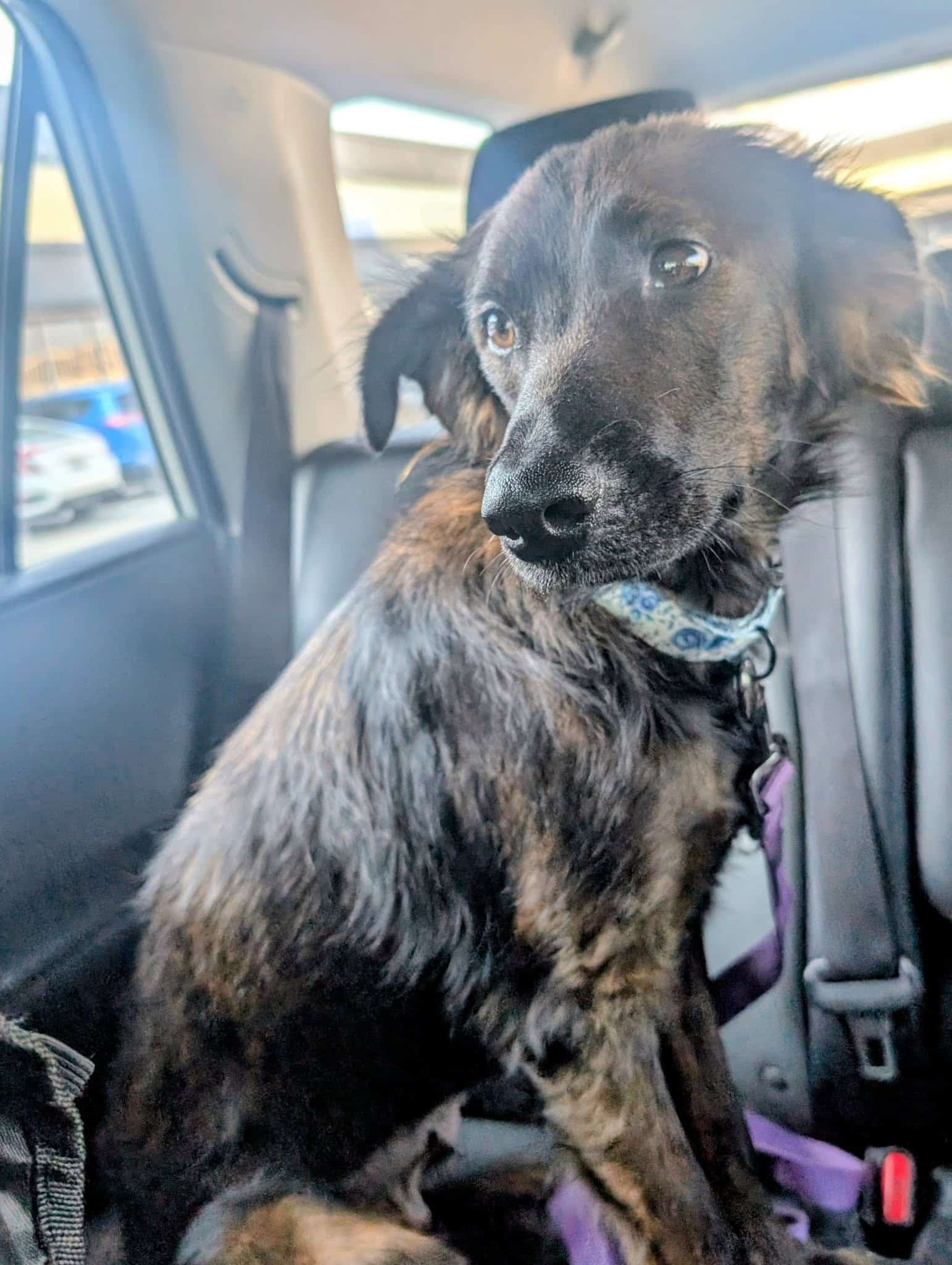 Extra image from article