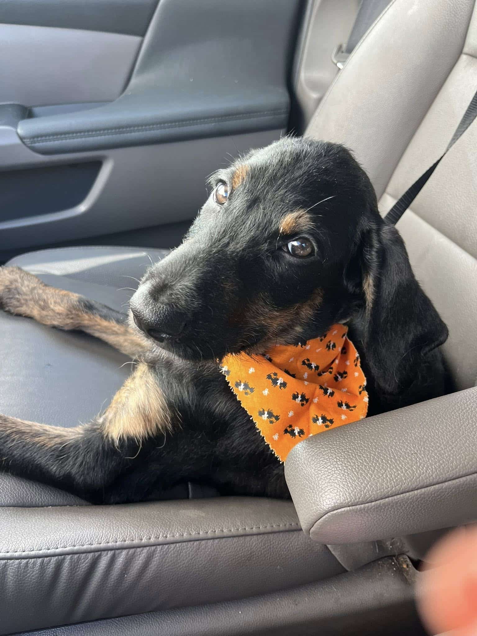 Extra image from article