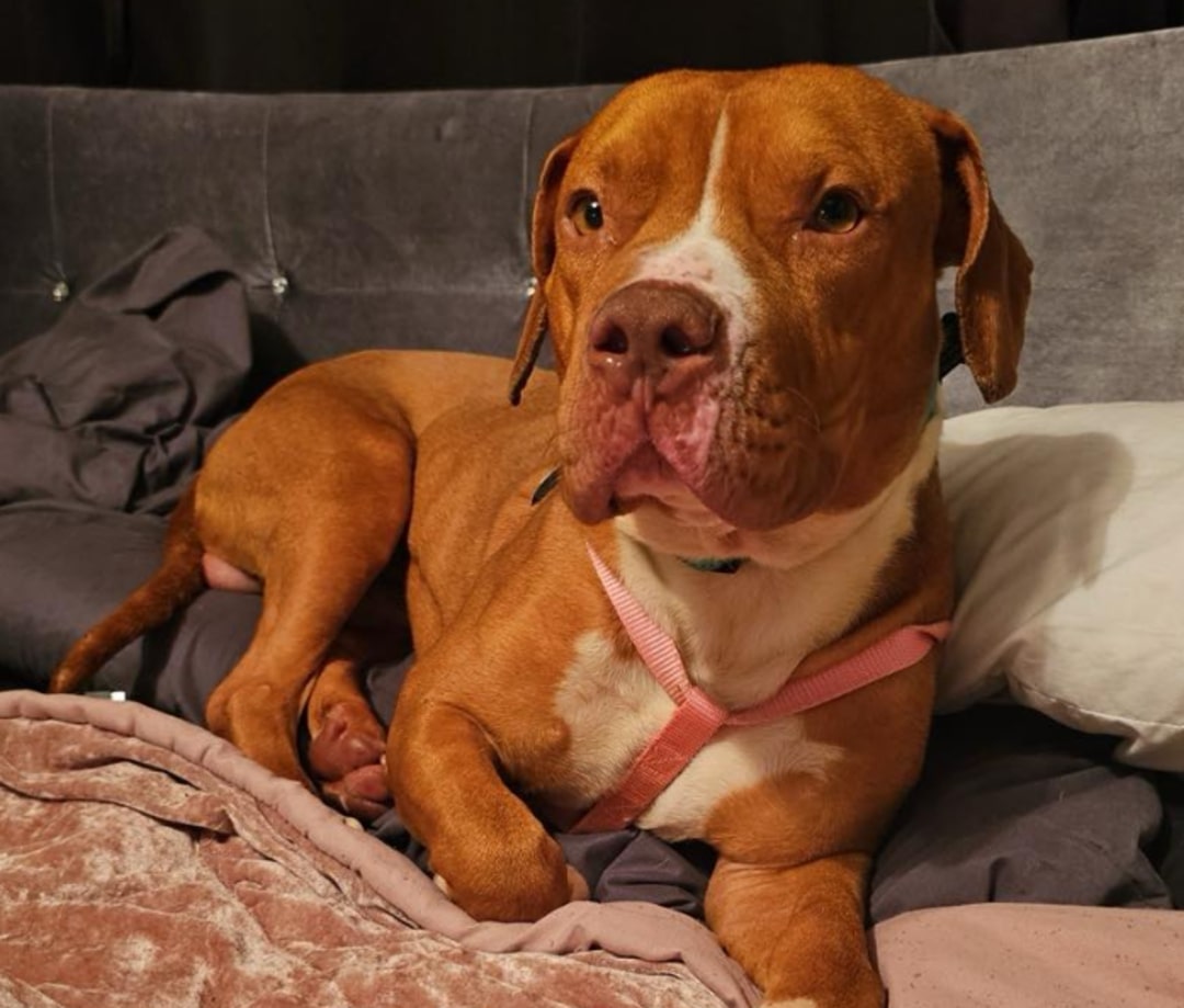 Although he still experiences anxiety re...