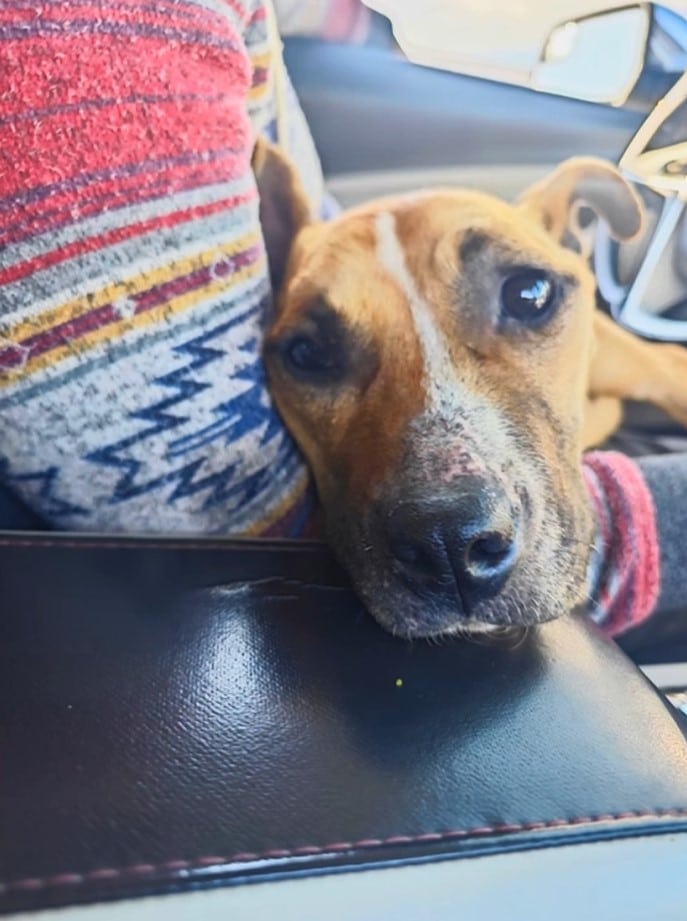 Extra image from article