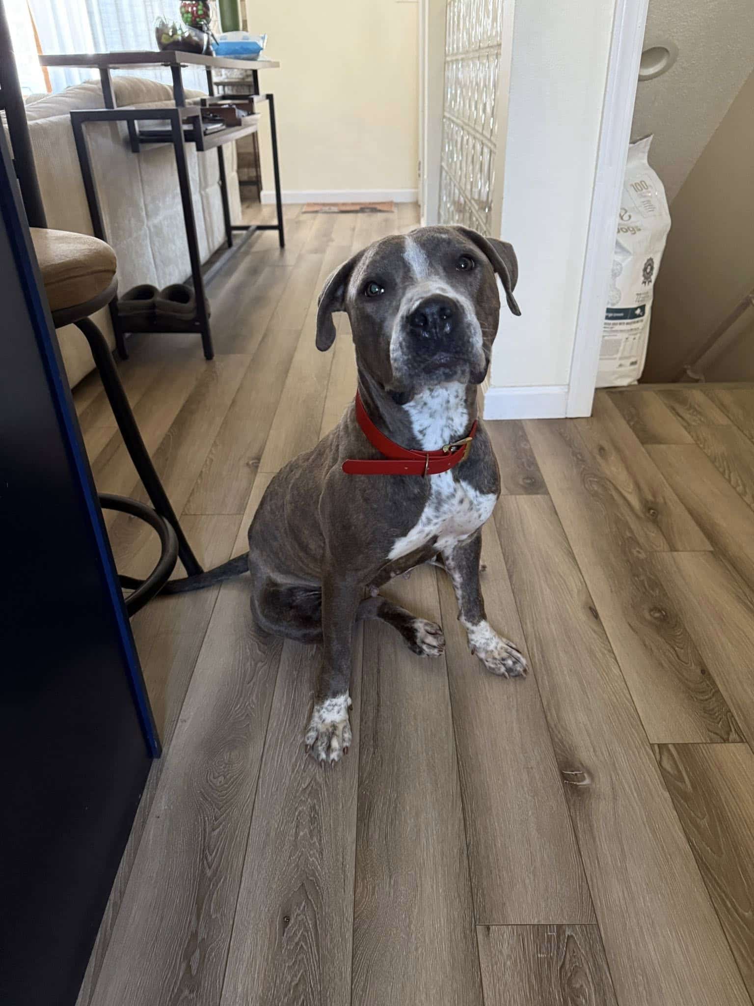 Extra image from article