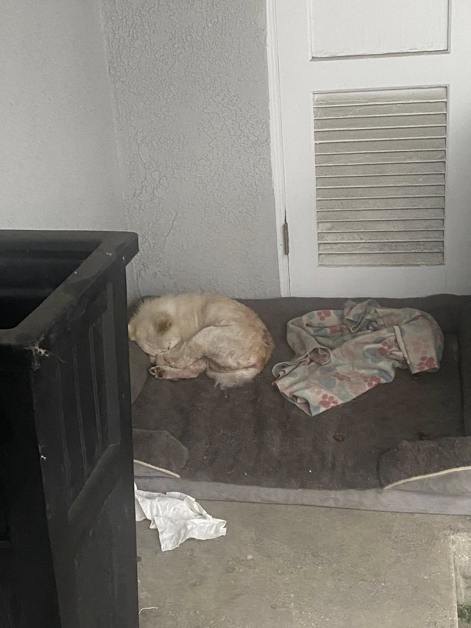 Extra image from article