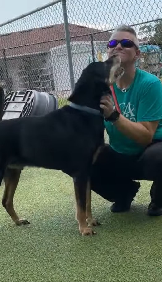 Extra image from article