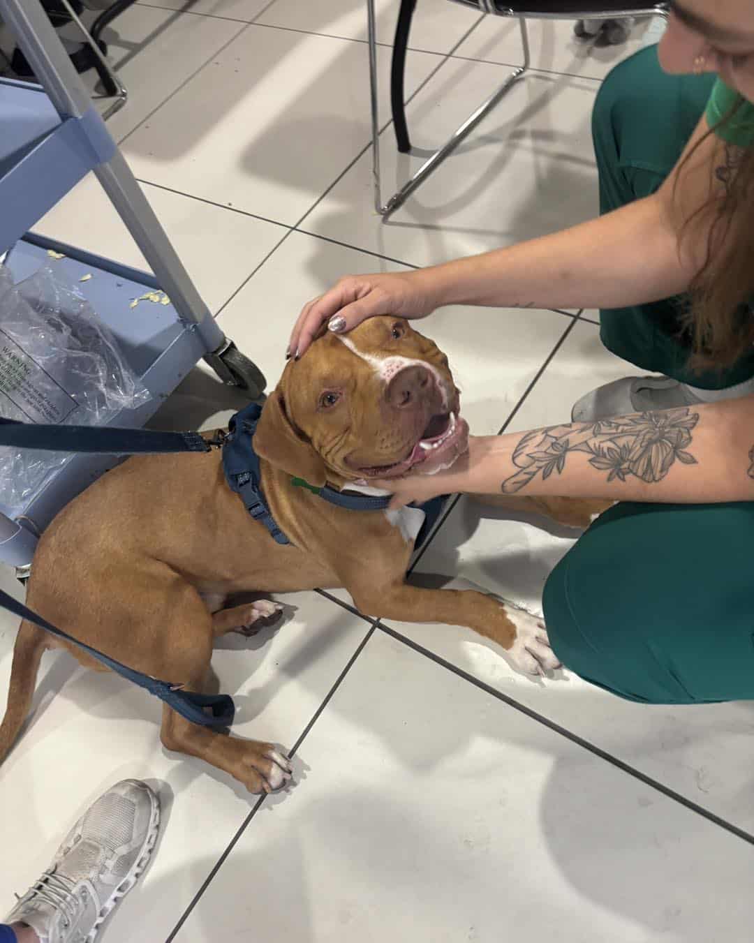 Extra image from article