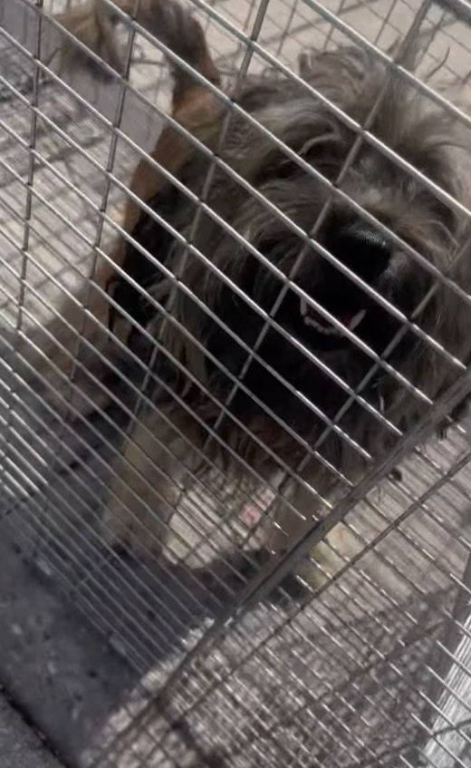 Extra image from article