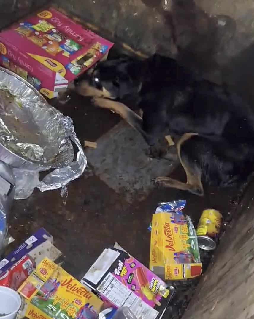 Extra image from article