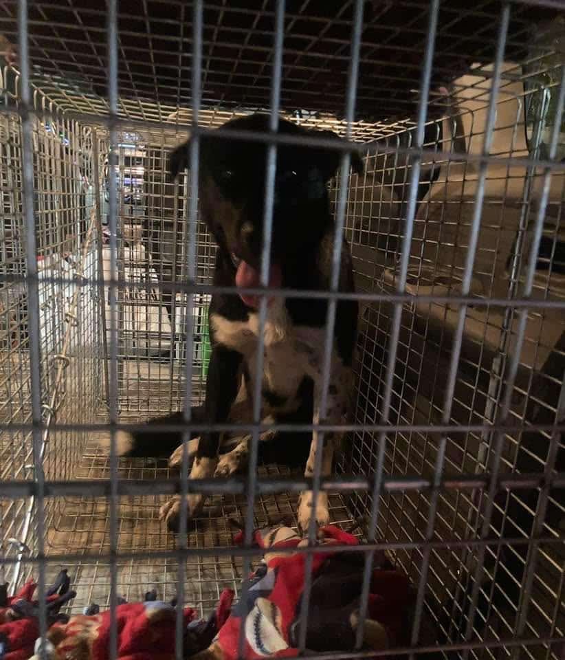 Extra image from article