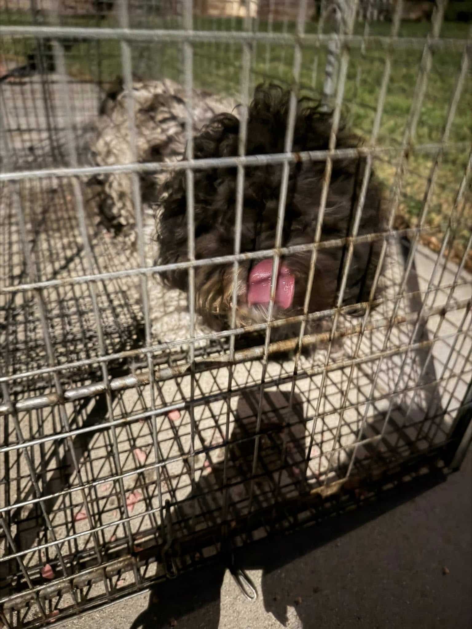 Extra image from article