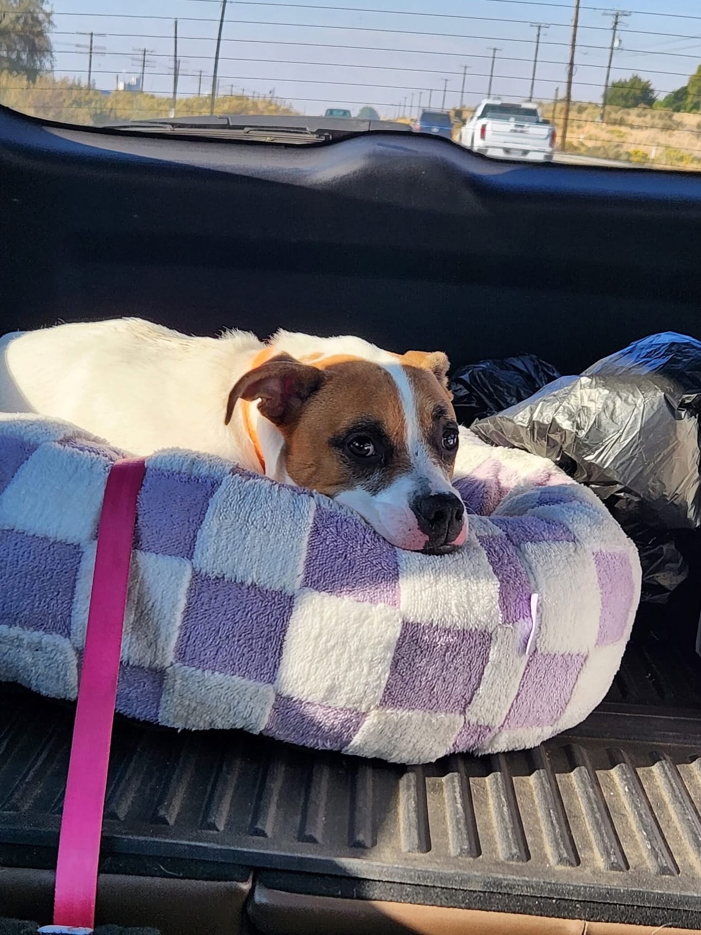 Extra image from article