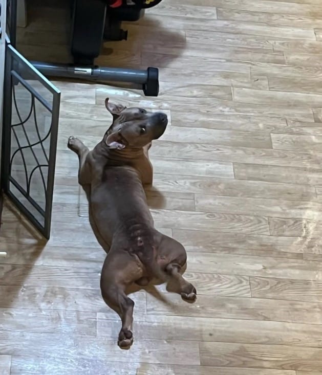 Extra image from article