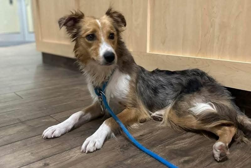 Extra image from article