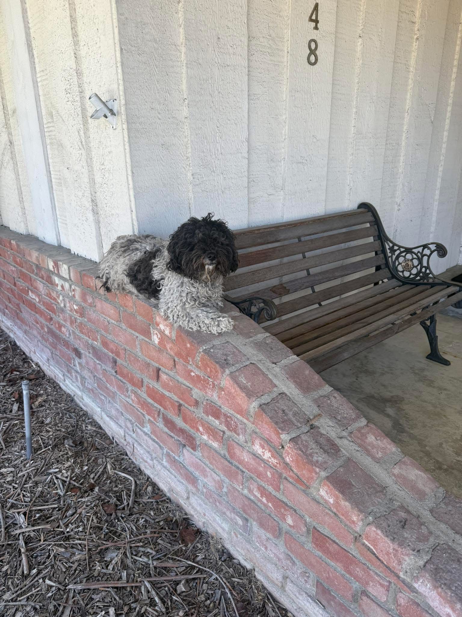 The chapter of waiting is closed; Maya h...