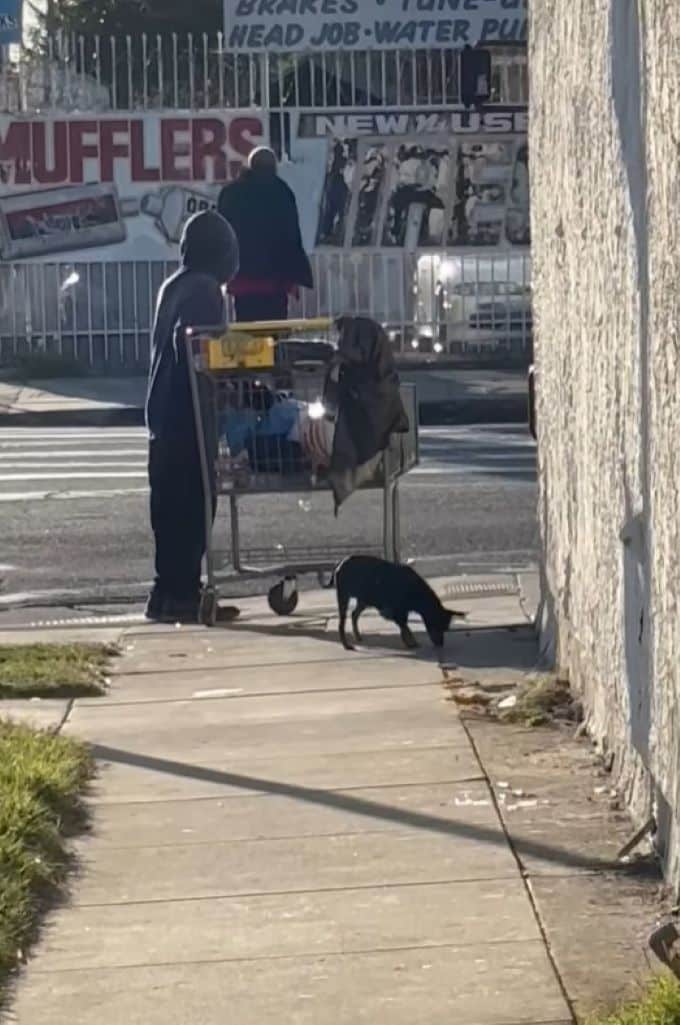 Polly's promising future means she will ...