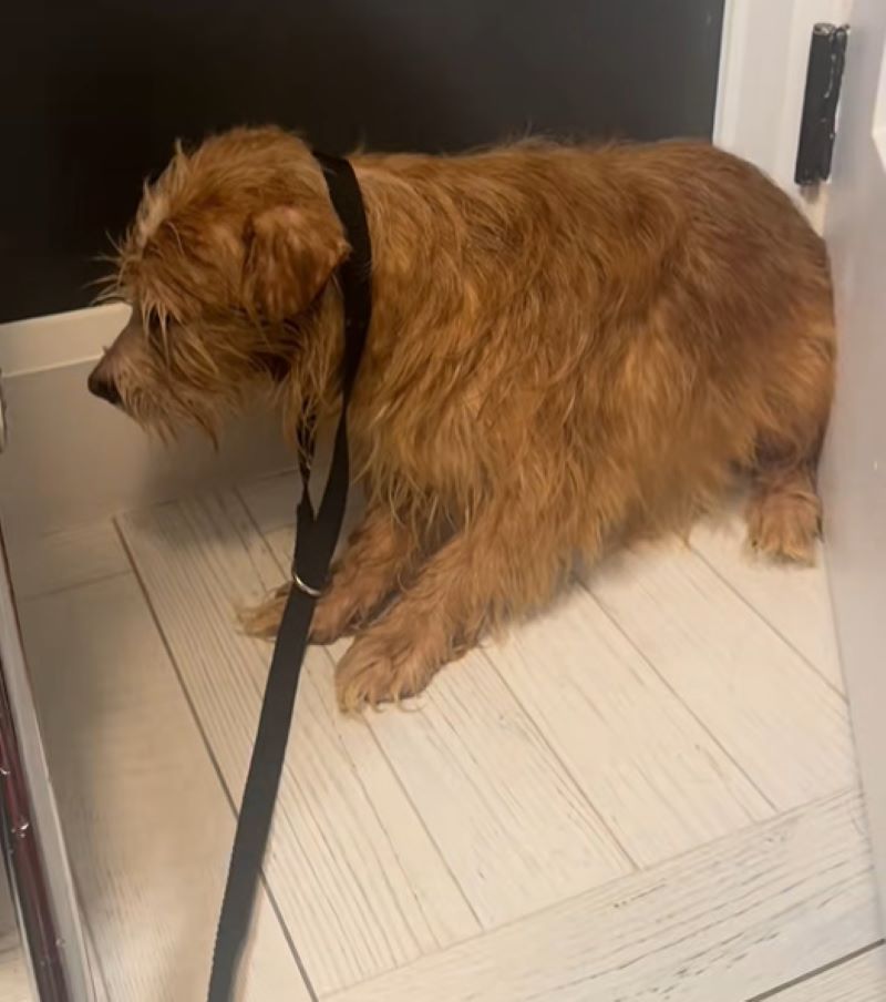 Phil's story is a testament to the power...