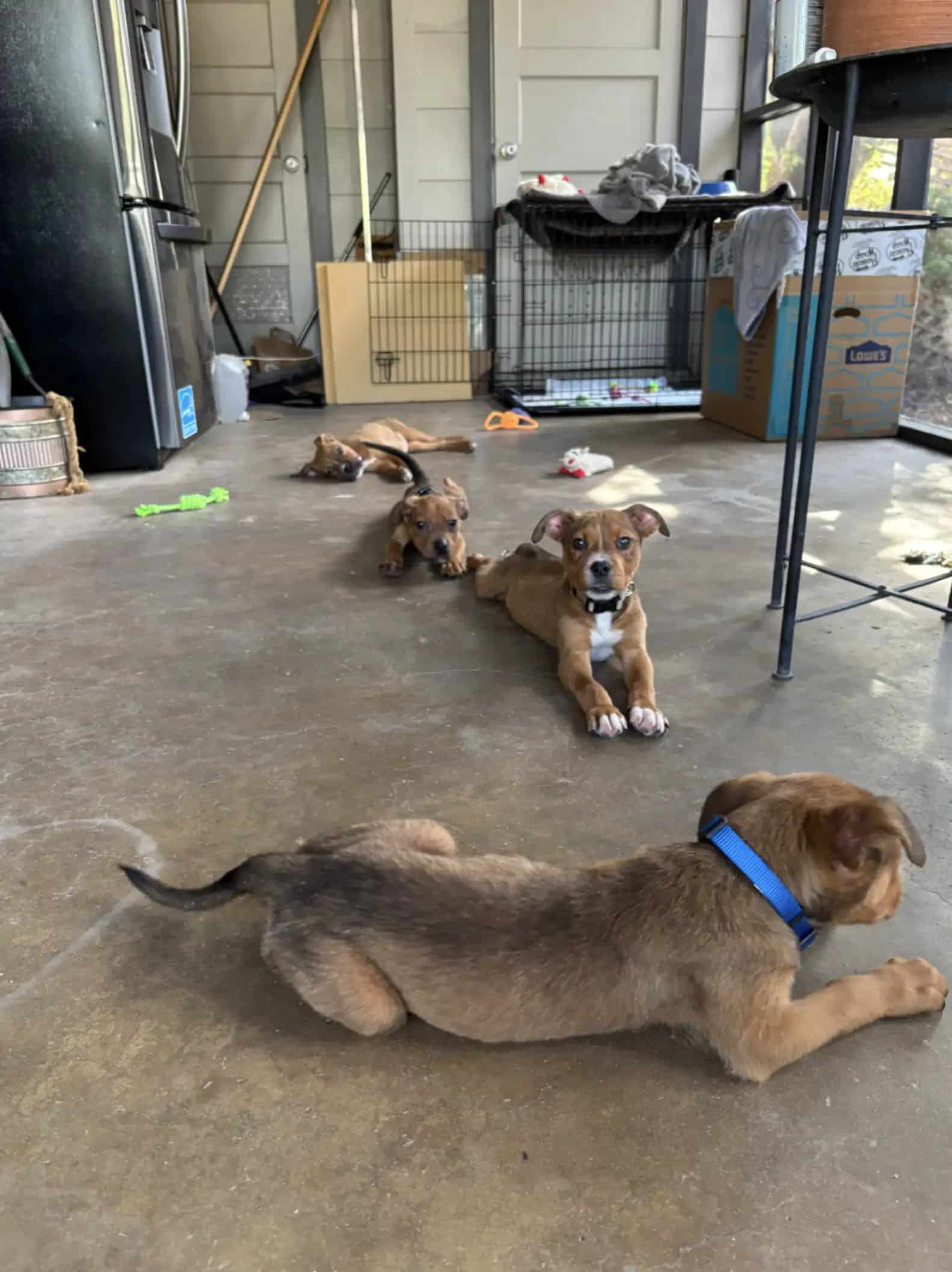 Extra image from article